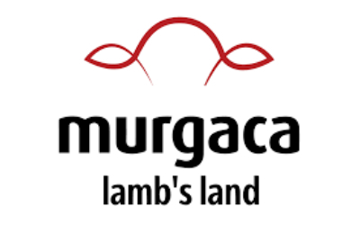 Murgaca
