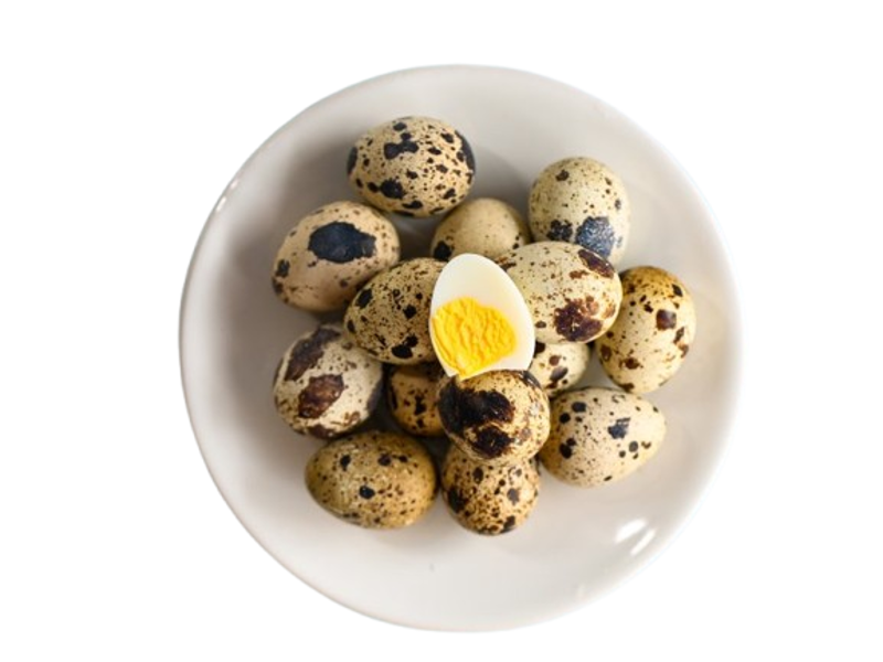 Poultry Products