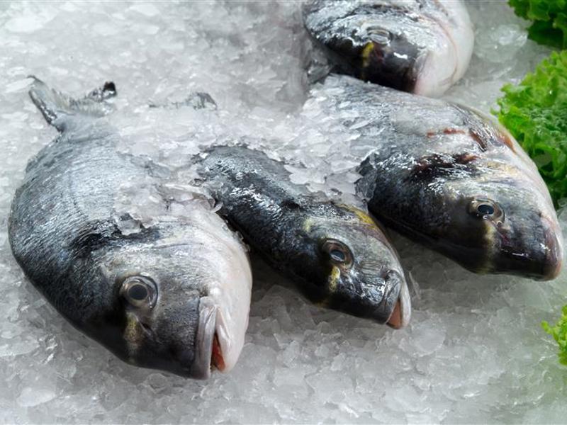 Seafood Products