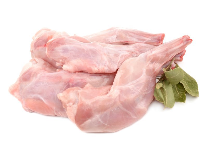 Rabbit