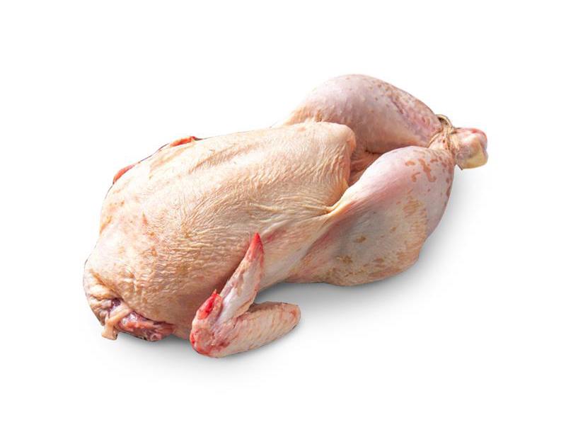 Duck 