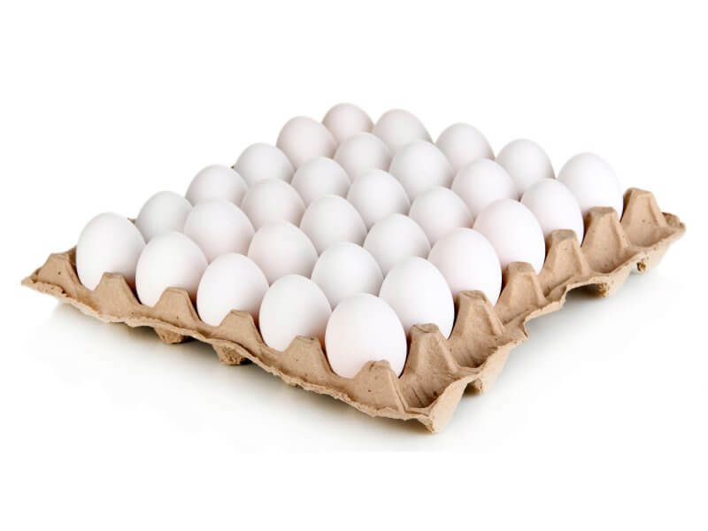 Chicken Eggs
